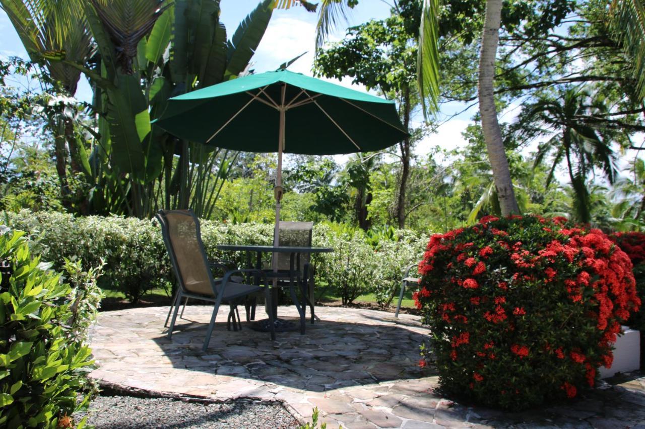 Tropical Bliss Pool Wi-Fi Bbq Near Quepos Manuel Antonio Apartment Exterior photo